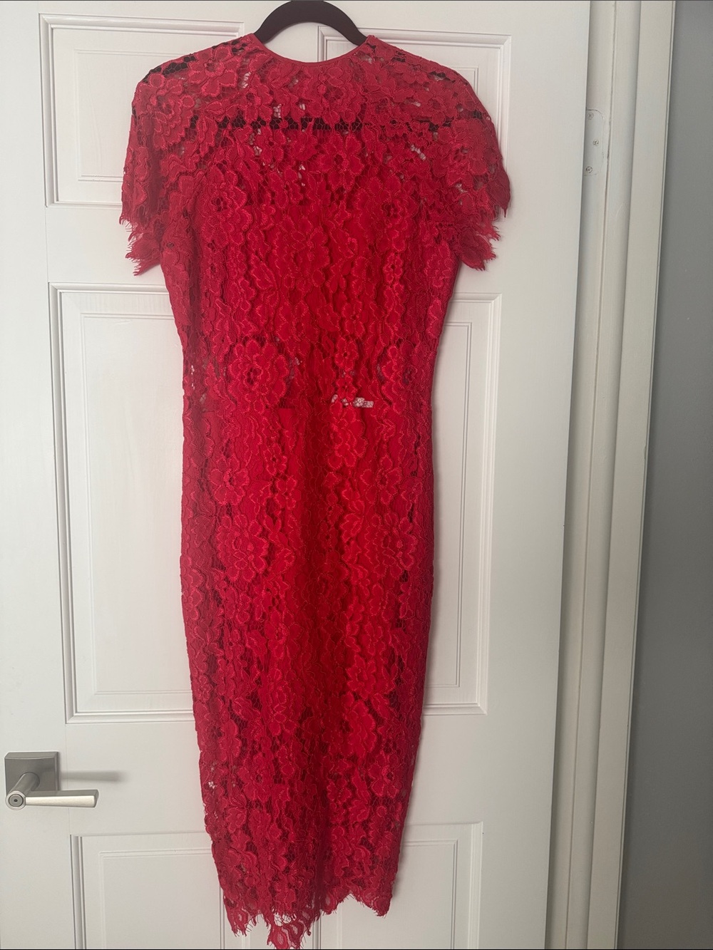 Alexis Red Lace Midi Dress with Floral Overlay